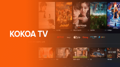 kokoa tv korean drama netflix