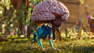 jellybeanbrains real name