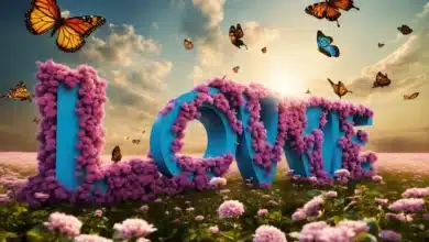 love what you have, before life teaches you to love - tymoff