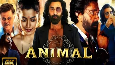 SDMoviesPoint Animal