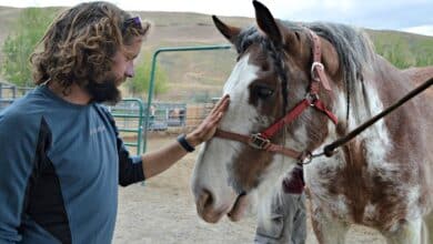 bluefire wilderness bluefire wilderness reviews