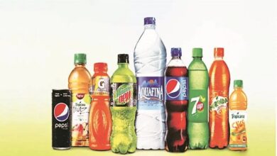 varun beverages share